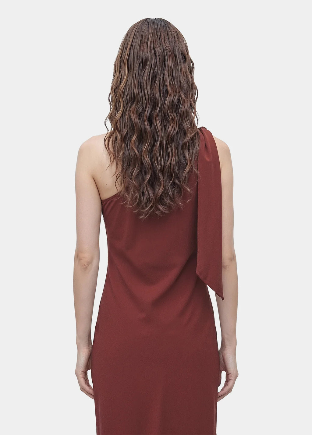 Highlight Glueless Wig Body Wave Pre-Cut HD Lace Wig 250% Density